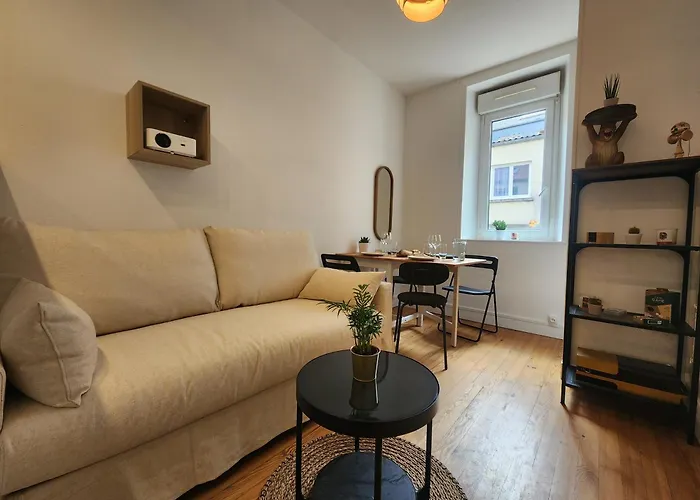 Le Cocon Du Chateau - Appt 4Pers - Hypercentre